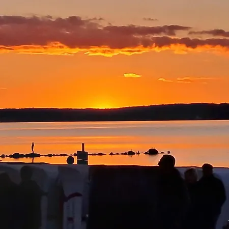 Seepferdchen * Γκλύξμπουργκ