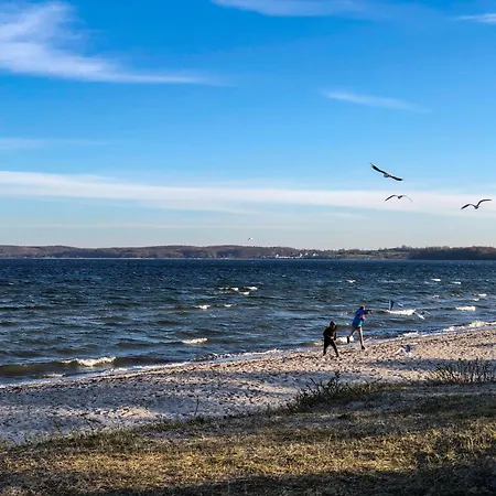 Seepferdchen Σπίτι διακοπών