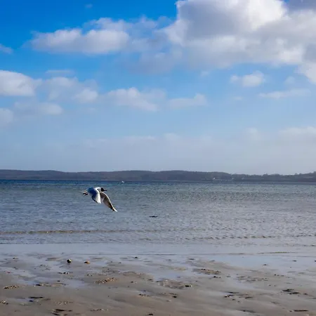 Seepferdchen Σπίτι διακοπών