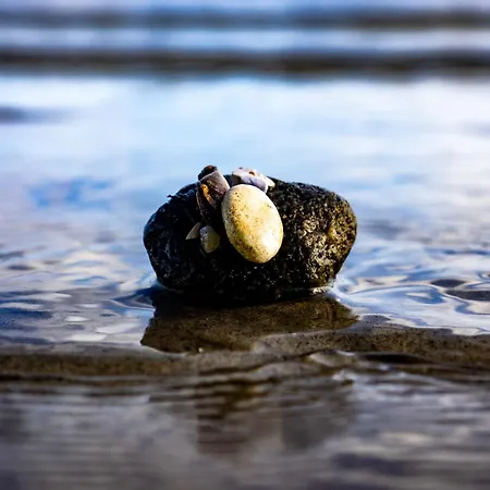 Σπίτι διακοπών Seepferdchen