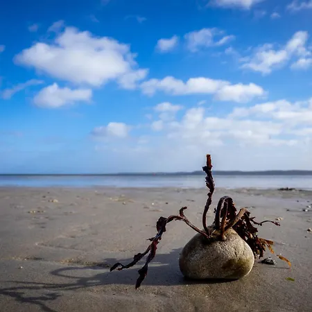 Seepferdchen Σπίτι διακοπών