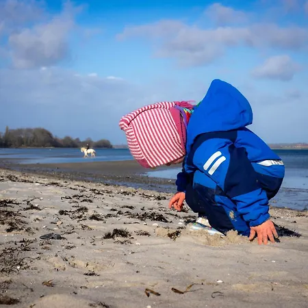 Seepferdchen Σπίτι διακοπών *