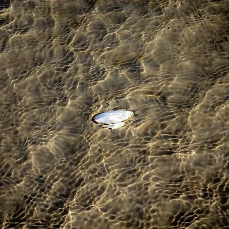 Σπίτι διακοπών Seepferdchen *