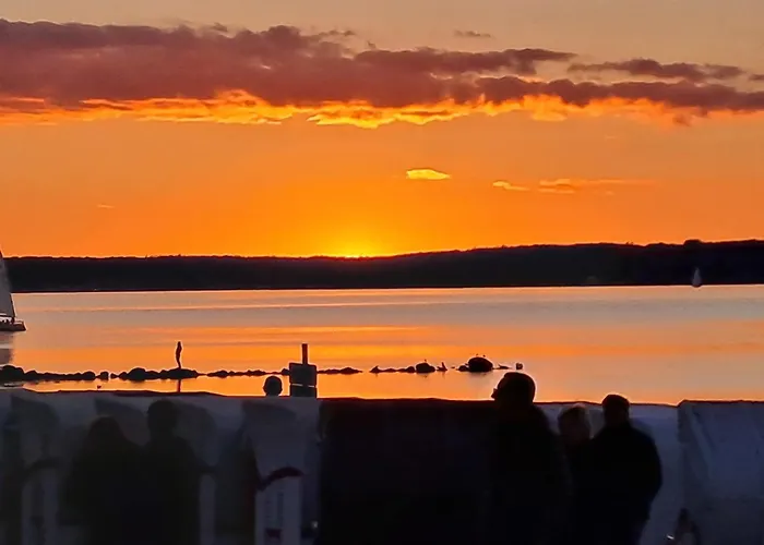 Seepferdchen * Glücksburg