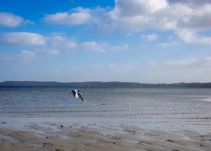 Seepferdchen Casa vacanze