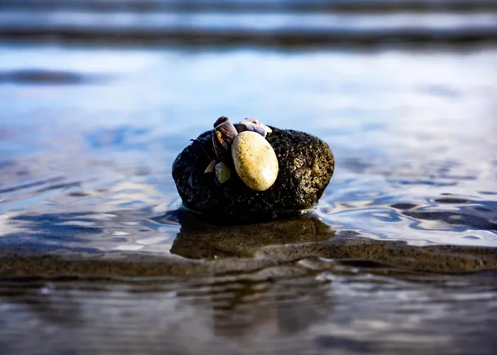 Casa vacanze Seepferdchen