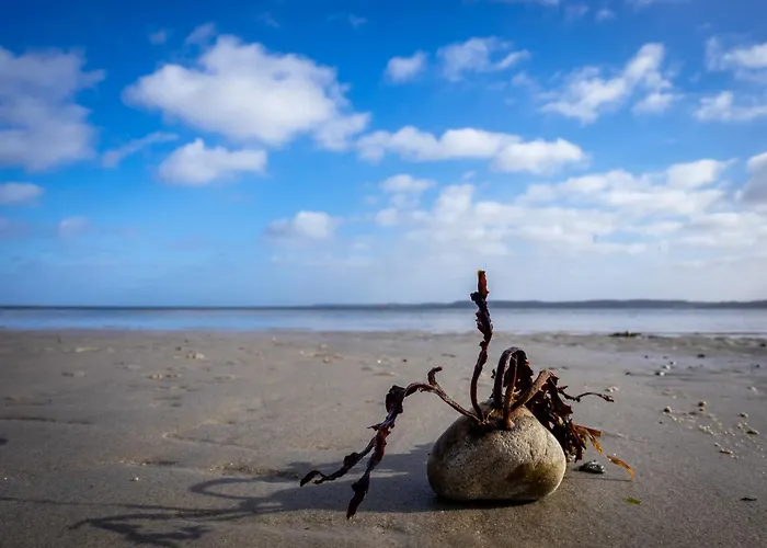 Seepferdchen Casa vacanze